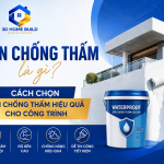 Son-chong-tham-la-gi